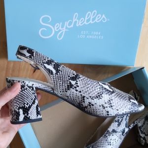 Seashells playwright heels